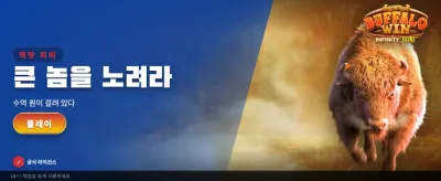 최고의 배당률을 확인하세요